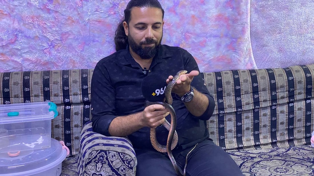 أحمد أيضاً “يرقص مع الثعابين يومياً”.. لا تقتلوا العربيد الأسود إنه صديقكم! (فيديو)