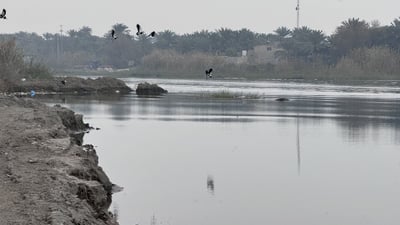 ارتفاع “غير مسبوق” في شط المشخاب.. المياه الوفيرة قد تعيد مزارع الشلب (صور)