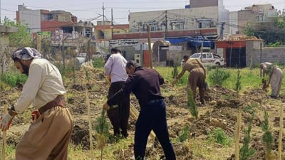 هەڵمەتێكی نەمام چاندن بازیان و تەیناڵى گرتەوە