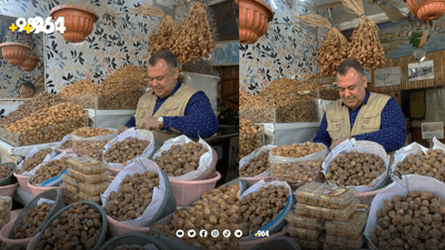 نوقڵە خورماکەی خانەقین کەوتە بازاڕەوە