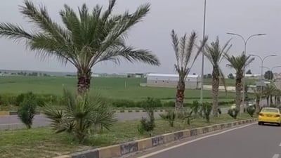Basra farmer cultivates palm trees in Mosul and Dohuk, defying conventional beliefs
