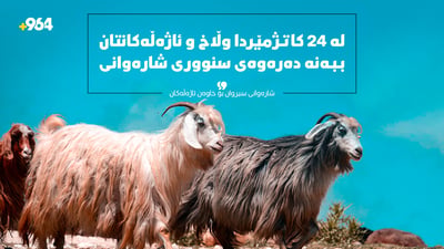 لە 24 کاتژمێردا وڵاخ و ئاژەڵەکانتان ببەنە دەرەوەى سنوورى شارەوانیمان