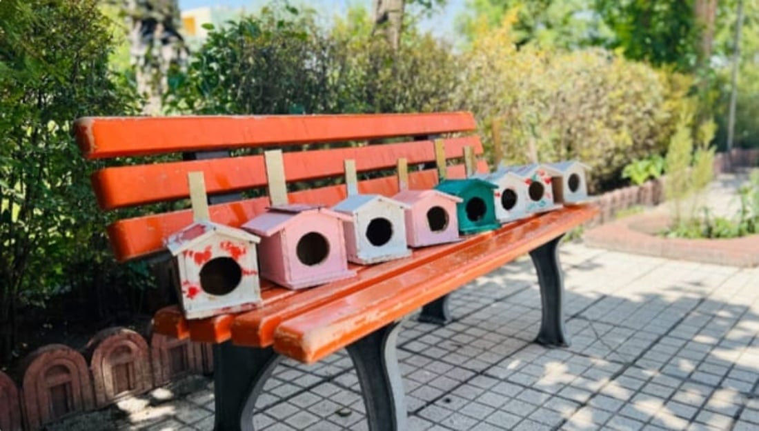 Chamchamal launches ‘The Bird House’ project to shelter birds during extreme weather