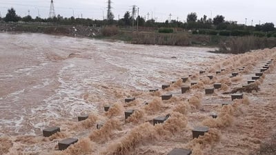 باوەشاسوار لە یەکەم شەپۆل تەسلیمی باران بوو سەرڕێژی کرد