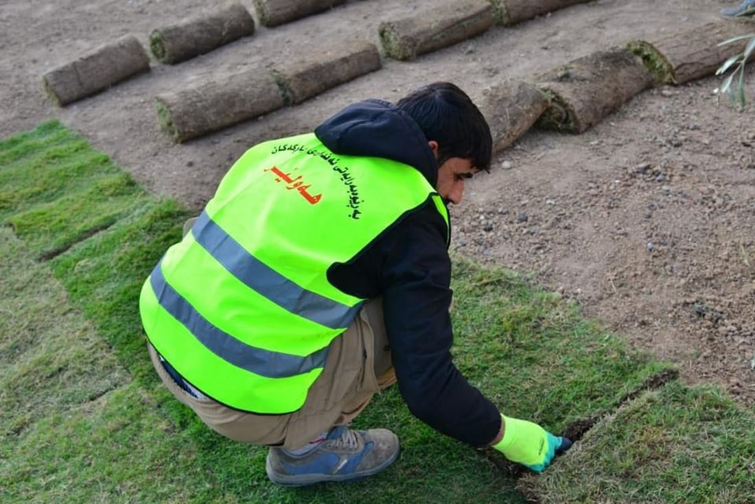 قۆناغی دووەمی چاندنی فریزی فەرش لە دورگەی ناوەندی شەقامی کەرکووک دەستیپێکرد