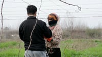 فيديو من أجواء البستان: حب ومشقة وعنب.. زوجان من بلد يحا�...