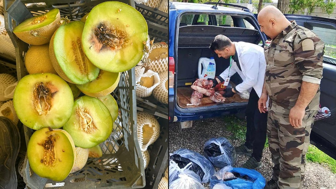 نزیکەی نۆ تۆن کاڵەک و 65 کیلۆ گۆشتی خراپبوو دەستیان بەسەرداگیرا