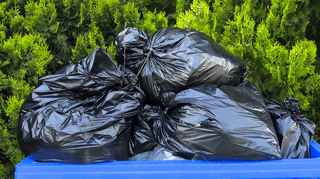 رێکخراوێک لە شارەزوور پارکەکان پاکدەکاتەوە و سەلەی خۆڵ دادەنێت