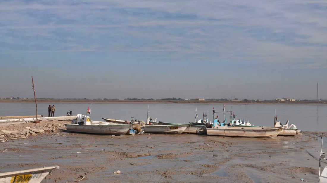 صور من مرسى النقعة: تعرف على أصناف السمك في مزاد الفاو صباح الجمعة