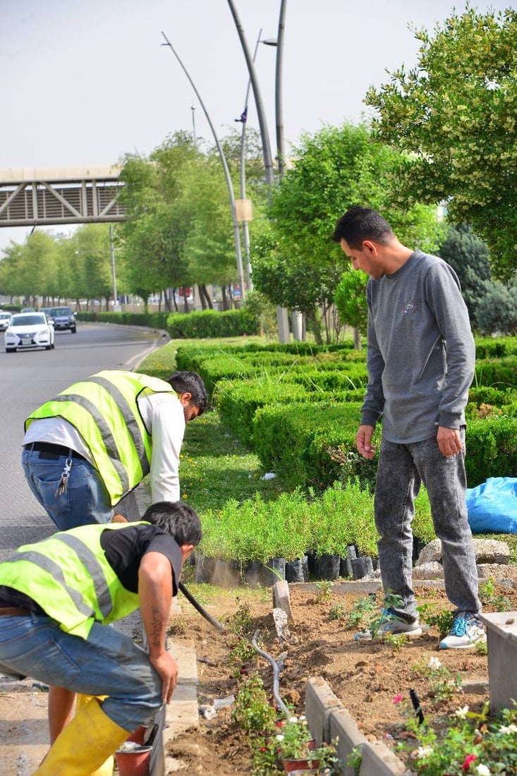 ژینگە سەوزکارەکان گوڵ لە شەقامی 100 مەتری هەولێر دەچێنن