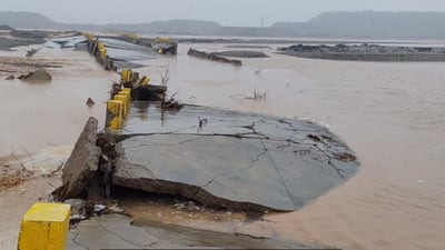 پردی پشتێنەی خورماتوو ئاوبردی؛ بەسەدان بارهەڵگر ماونەتەوە