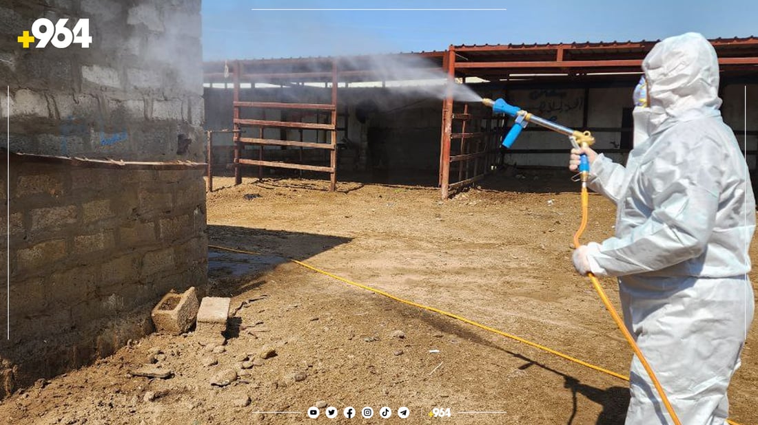 ڤێتەرنەری کەرکوک ئاژەڵدارەکان ئاگادار دەکاتەوە