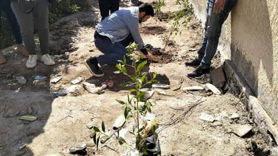 صور: متطوعون ينظمون حملة لتشجير مدارس المثنى بالتعاون مع اليونيسف