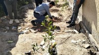 صور: متطوعون ينظمون حملة لتشجير مدارس المثنى بالتعاون ...