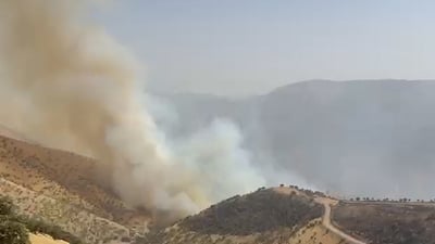 ئاگرەکەی هەڵەبجە سەدان دۆنم پووش و پاوان و دارستانی سرووشتی ناوچەکەی سوتاندووە