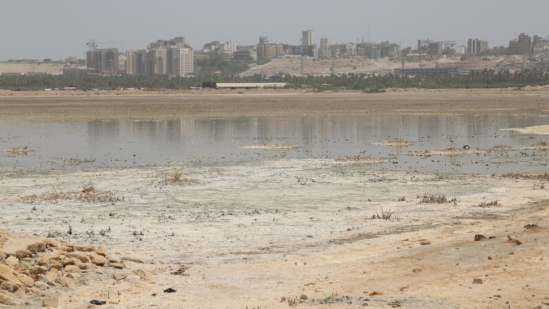 بحر النجف يحتضر.. 40 ألف دونم جفت وكارثة بيئية تهدد التنوع الأحيائي