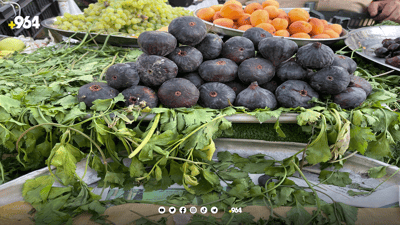 هەنجیری نەجەف و کەربەلایە بە هی کەلار دەیفرۆشن