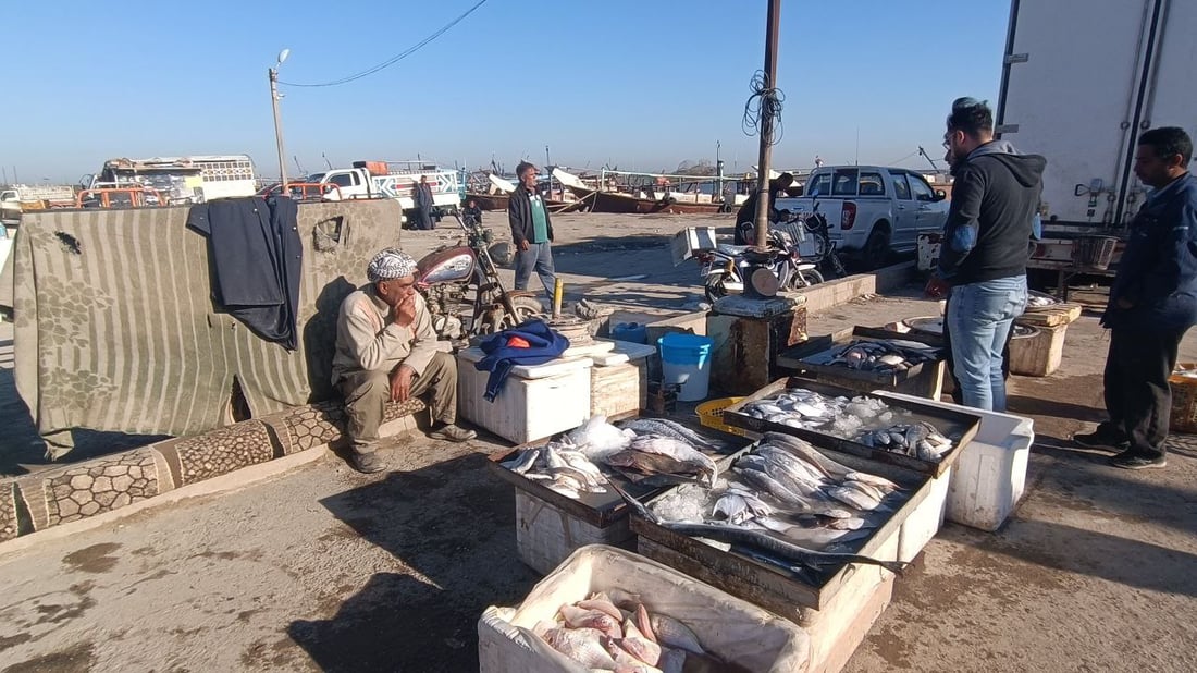 الأكالة يبحثون عن بيوض السمك في نقعة الفاو.. علبة “الثروب” بـ10 آلاف (صور)