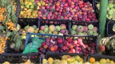 Over 50,000 tons of agricultural produce sent from Duhok to the rest of Iraq