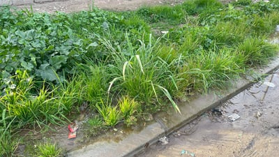 زیاتر لە مانگێکە بۆڕیەکی ئاوی خواردنەوە شکاوە