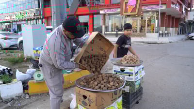 5 صحاري تنقل كمأ 2026 إلى تكريت والأسعار فوق النار!