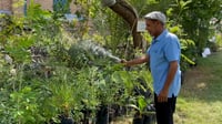 Retired journalist promotes urban gardening in Baghdad