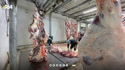 پسپۆڕێک: ماددە قڕکەرەکان دەچنە ناو چەوری و دووگەوە