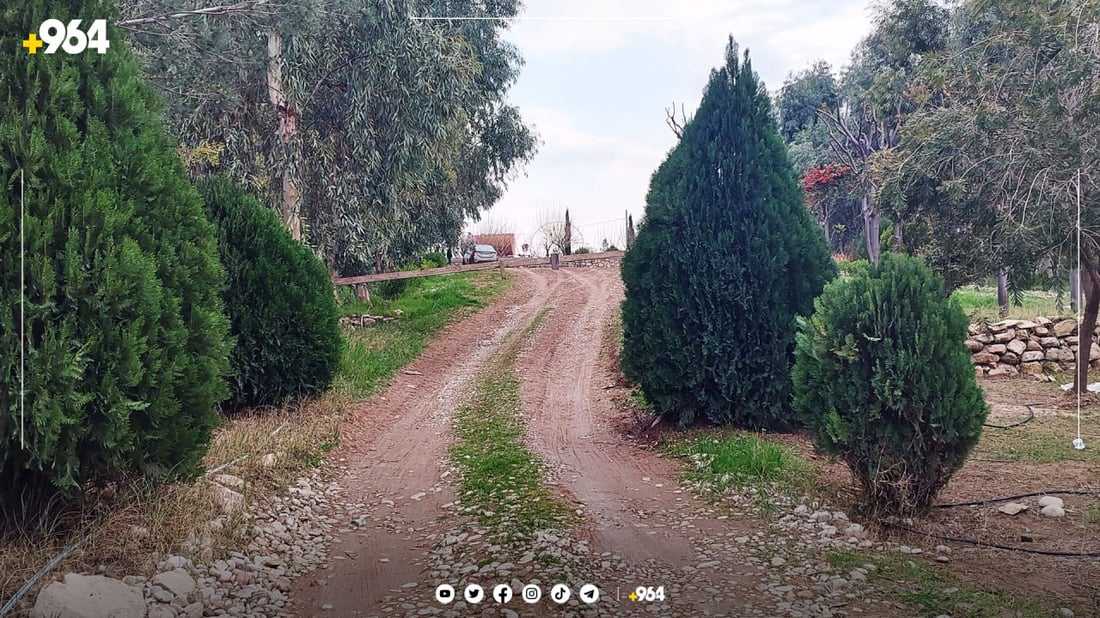 پارکی دارستانی بەردەڕەش