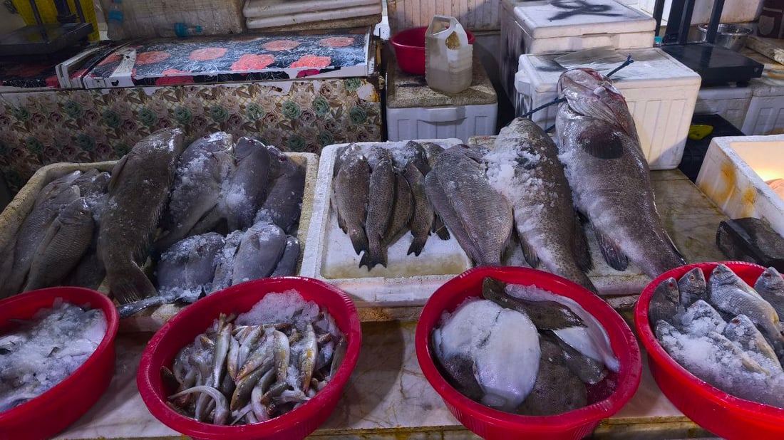 البحر يجود على البصرة.. أسعار الأسماك تهبط و”أكل الفقير” صار بألف دينار