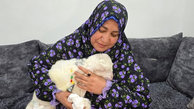 کاریلەیەک دایکی مردووە و خێزانێک بوون بە هەموکەسی