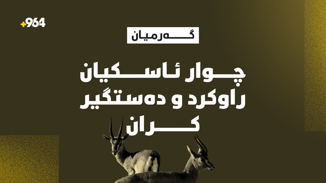چوار ئاسکیان راوکرد و دەستگیرکران