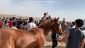 Arabian horse race draws 23 riders in Nineveh’s Abu Wajna village