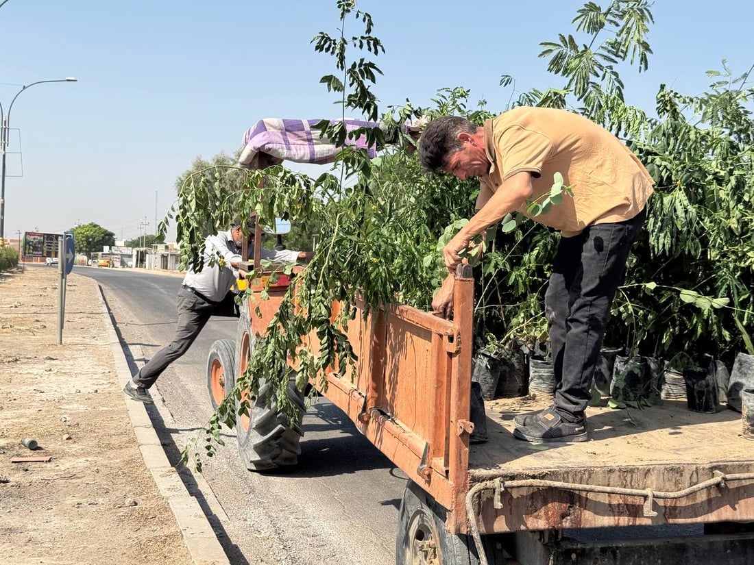 خانەقین بە مەکینە و عارەبانەوە دەستی بە چاندنی نەمام کرد