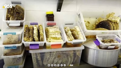 ربيع وفير في دهوك.. العسل أكثر هذا العام ولا داعي للاستيراد