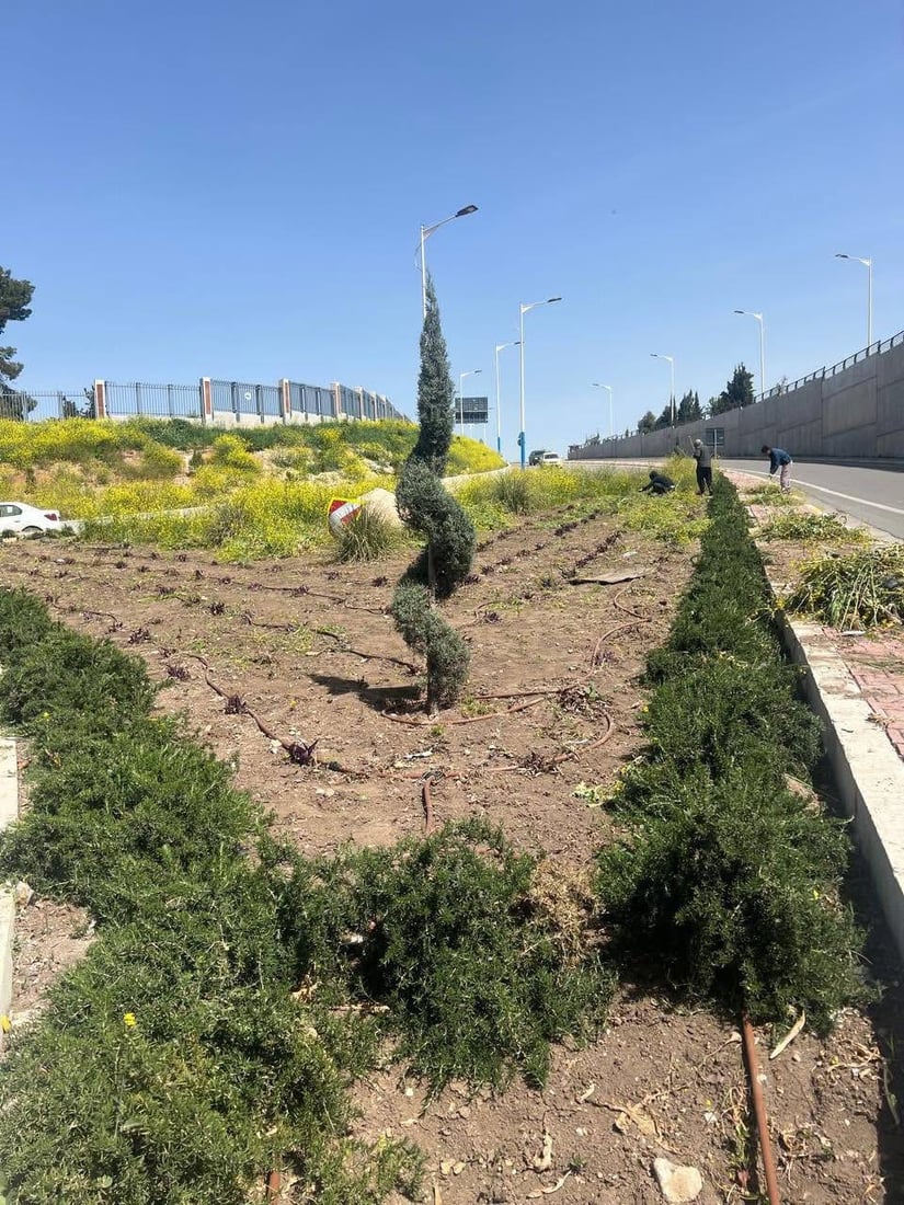 بەهارە شارەوانی دەستیداوەتە رنینەوەی گژوگیای شەقامەکانی سلێمانی