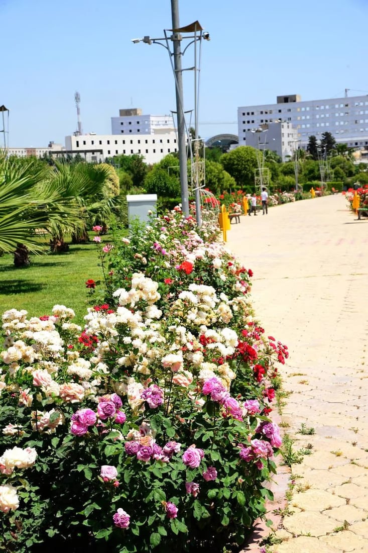 صور: منتزه “كل كند” وسط أربيل يتزين بأكثر من 9000 شجرة و 20 نوعاً من الأزهار