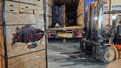 ضبط 3 شاحنات محملة بالطماطم الممنوعة من الاستيراد في منفذي مندلي