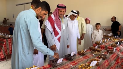 كبيسة تفاخر بالنرجسي وحمرية عواد وعرس نخيلها 80 صنفاً تشرب ينابيع الصحراء