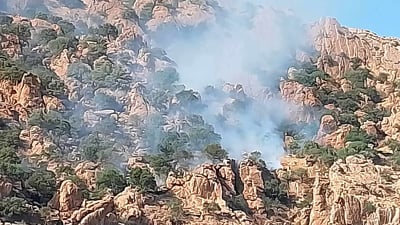 ئاگرێک لە پیرەمەگروون نزیکەی هەزار دار بەڕووی سووتاند