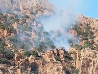 ئاگرێک لە پیرەمەگروون نزیکەی هەزار دار بەڕووی سووتاند