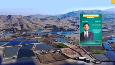 زانیاری و رێنمایی نوێ به‌ خاوه‌ن حه‌وزه‌ ماسییه‌كانى ته‌قته‌ق ده‌درێت