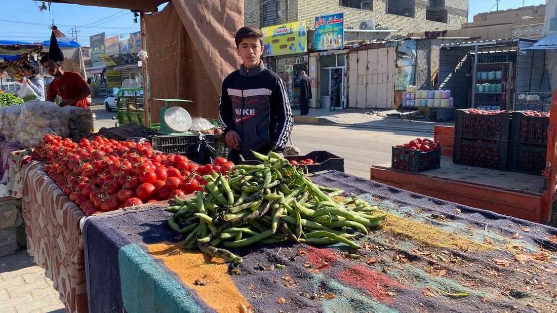 صور: الباقلاء العراقية نزلت.. المزارعون يأملون أن لا تنهار الأسعار تحت 400 دينار