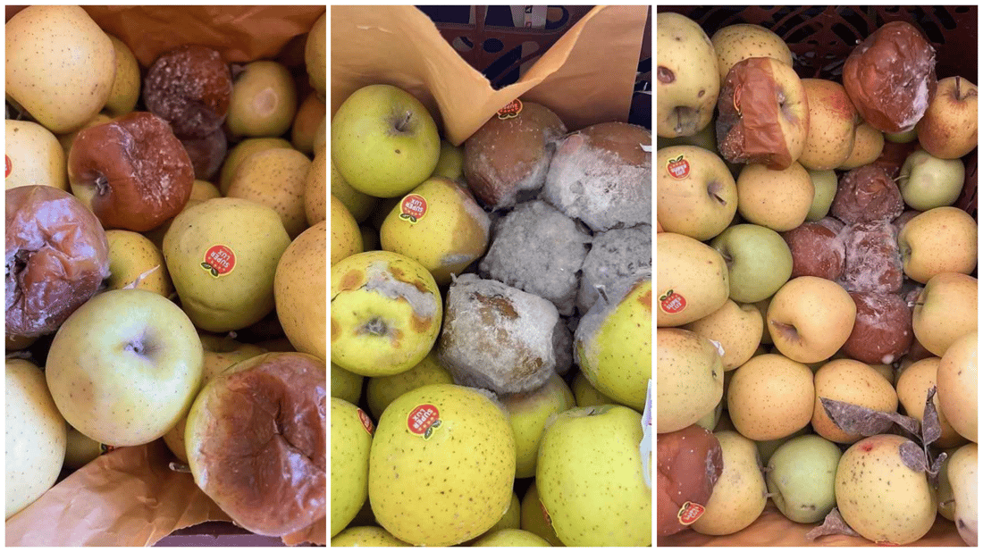 نزیکەی نۆ تۆن سێوی گەنیو لە مەرزی کێلێ دەستی بەسەرداگیرا