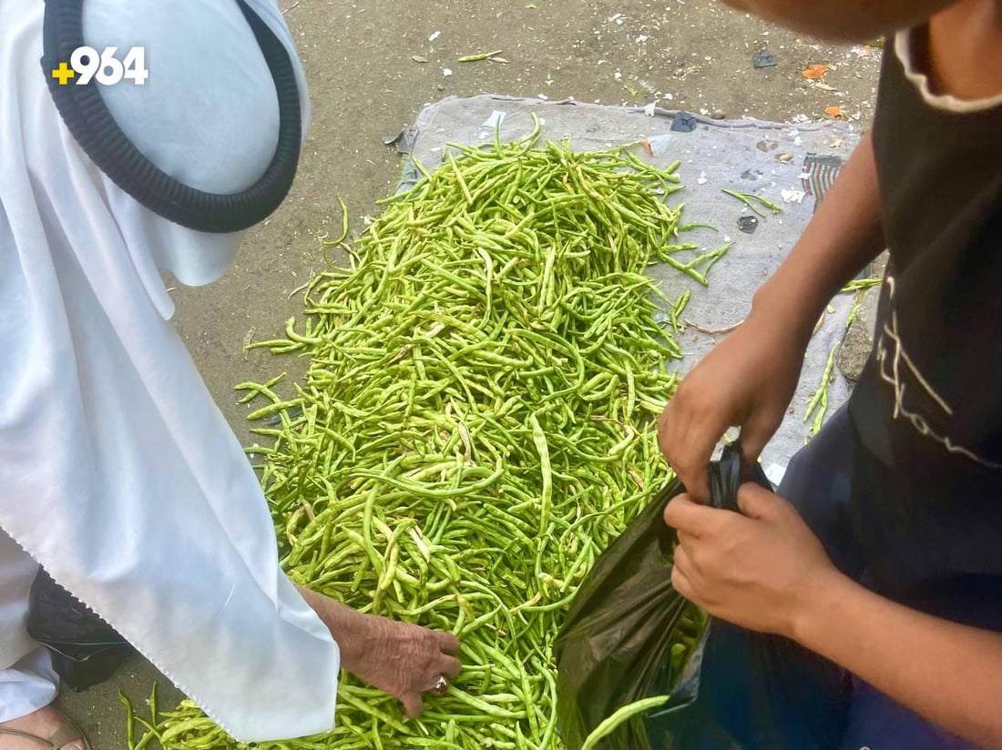 صور: وصول “التوحة” من بساتين شمال البصرة.. تنافس لوبياء سامراء لكن لشهر واحد
