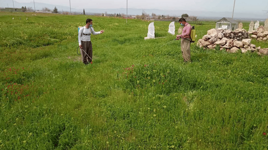 چه‌ند گه‌نجێك به‌خۆبه‌خشانه‌ گۆڕستانی 12 گوند له‌ گژوگیا پاك ده‌كه‌نه‌وه‌