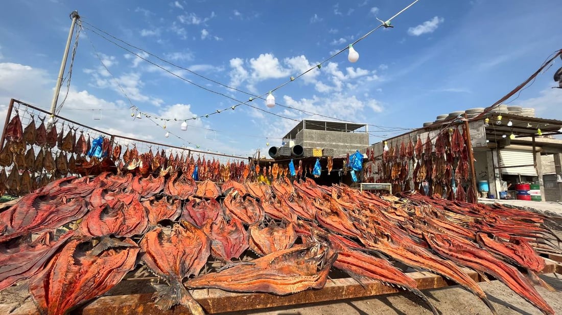 صور غير مألوفة من البصرة: لون المسموطة صار أحمر.. والبغادلة يصورون فقط!