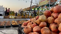 الثمرة صفراء لكنها حلوة.. الرمان الخوشي ينزل إلى أسواق 