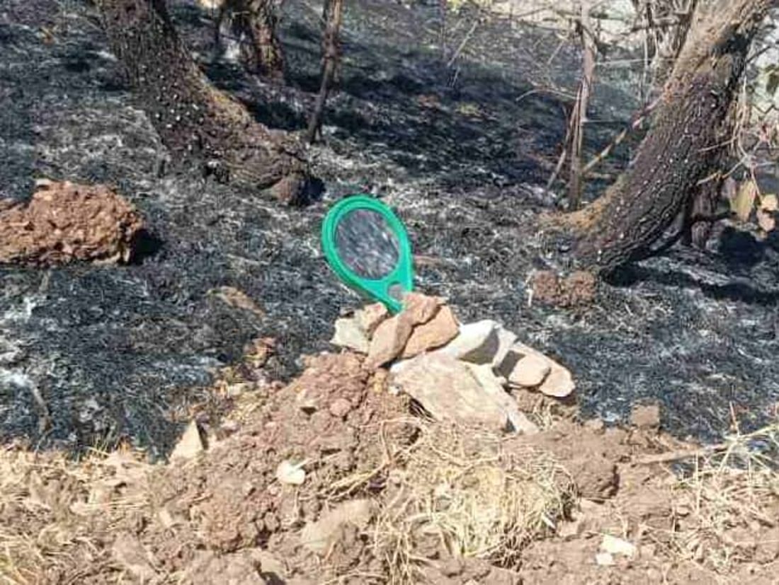 بە زەڕەبینێک نزیکەی 1000 داربەڕوو و 20 دۆنم پوش و پاوان سووتا