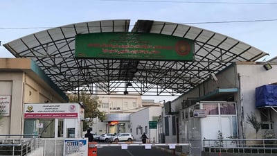 Sulaymaniyah reports 780 births last month