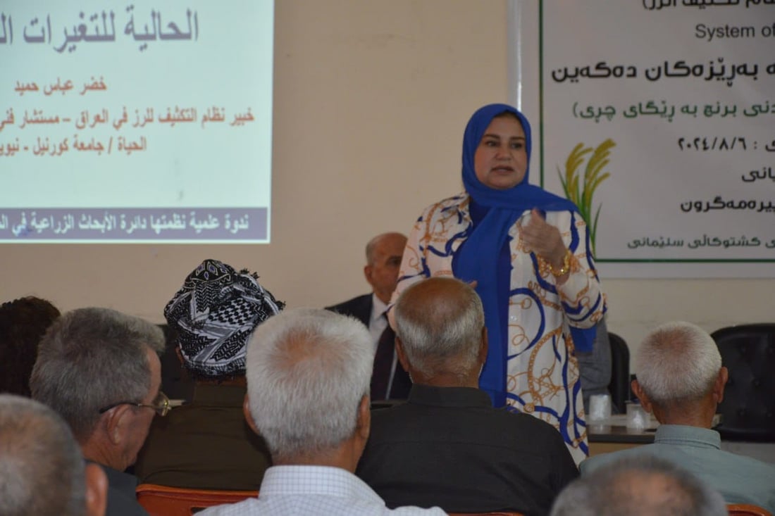 رێگەی چڕی فێری ئەو جوتیارانە کرا کە برنج دەچێنن